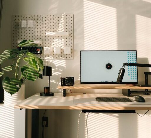 Creating a Peaceful and Productive Home Office Environment