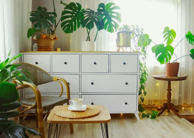 Easy Tips for Creating a Sustainable and Eco-Friendly Home