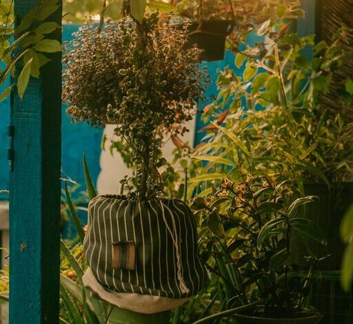 Tips for Creating a Relaxing Garden Space at Home