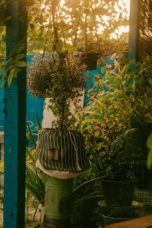 Tips for Creating a Relaxing Garden Space at Home